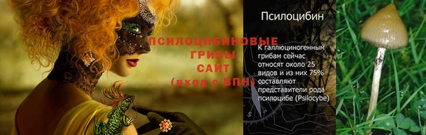 ECSTASY Мегион