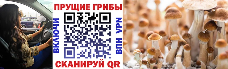 Псилоцибиновые грибы Magic Shrooms Шахунья