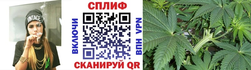 купить сайты Шахунья Канабис планчик